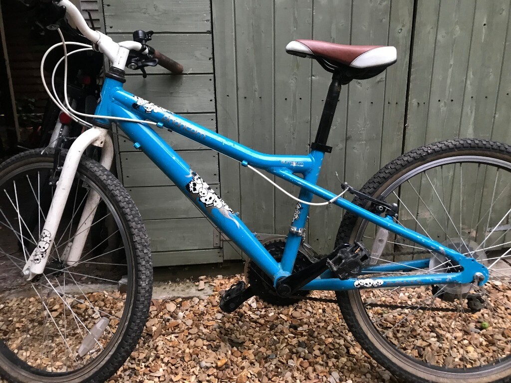 light blue bikes cambridge